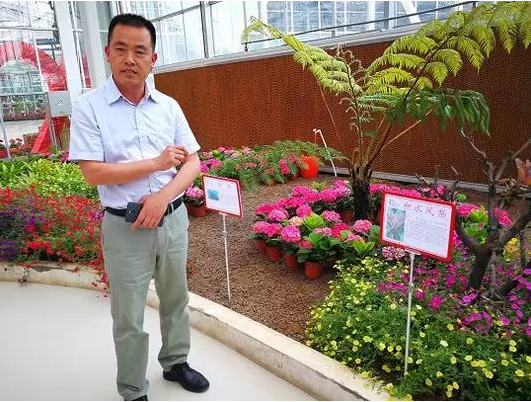 打响鄢陵花卉旅游文化品牌 郑红初要"花"出一片天