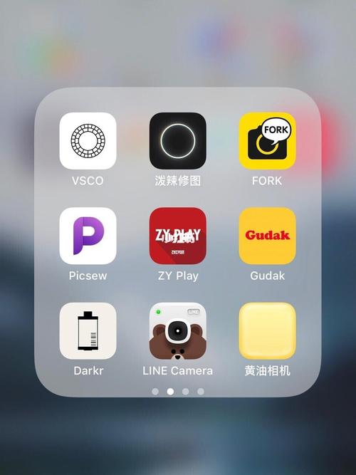91我是怎么修图的6315照片处理app大推荐_vue怎么样_cam怎么样