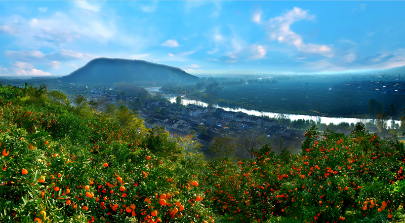 "地处汉中市城固县城东部的莲花池村是一个有着悠久历史的美丽乡村