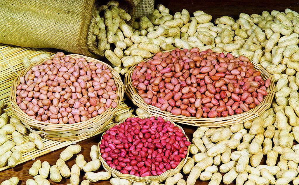 选育专用品种提高花生品质