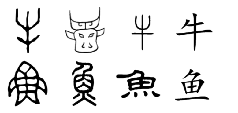 牛和鱼两个字弄反了?你真的了解汉字吗?说文解字1