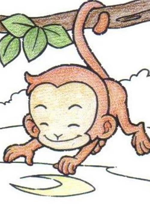儿童蜡笔画图片教学 小猴子捞月亮的画法