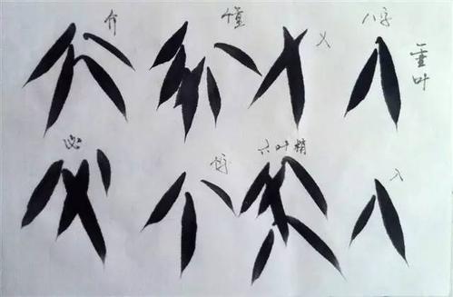 兴艺课堂丨竹叶的各种画法