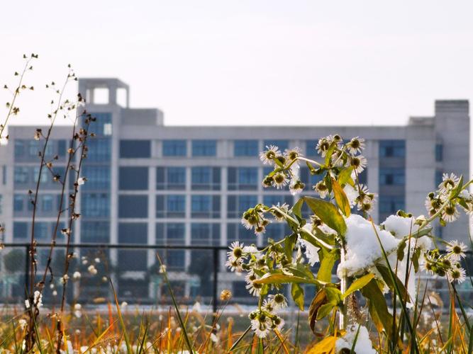 冬雪科院 - 校园风景 - 合肥科技职业学院官网