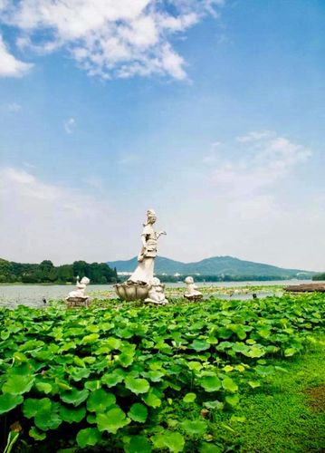 玄武湖莲花广场