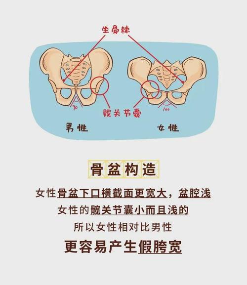 angelababy走路骨盆都快甩出去南瓜胯明显难怪腿粗五五分