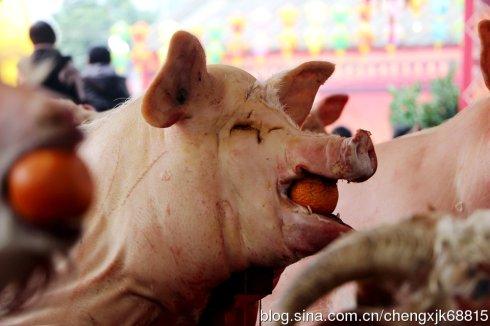 潮汕民俗——摆猪羊拜神