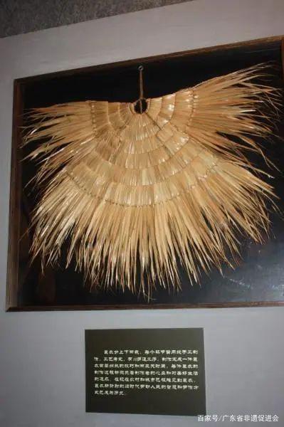 非遗广东|"南粤一绝"——新会葵艺