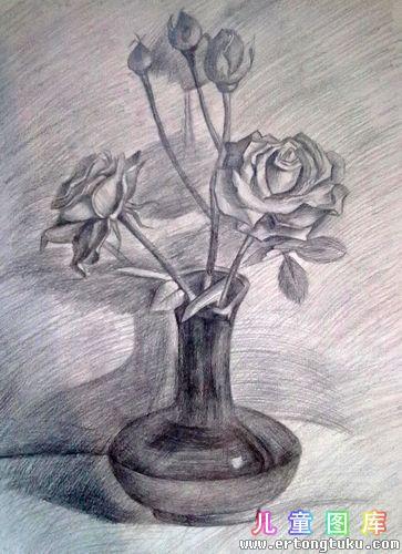 铅笔画玫瑰花带花瓶