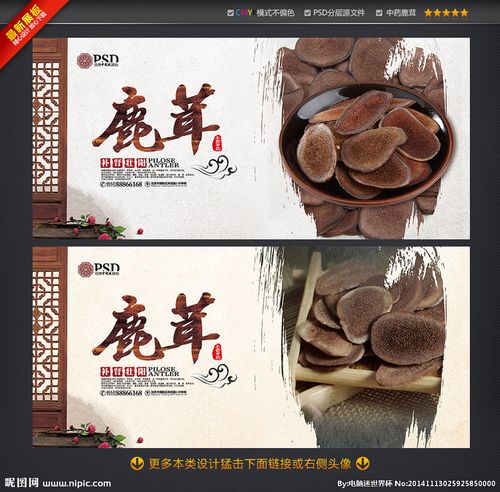 鹿茸海报图片