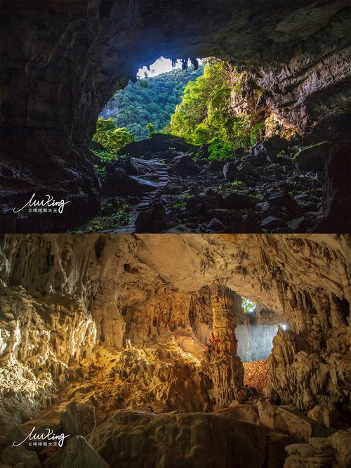 洞攻略_旅行地_灵芝_贵州茂兰国家级自然保护区_旅行攻略贵州茂兰溶洞