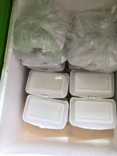 工地盒饭_盒饭_米饭_炒茄子_工地_美食_美食展示_普通