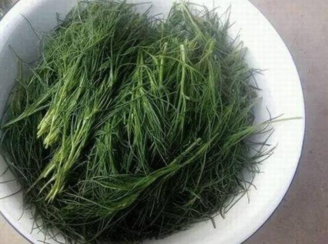 中国吃货让外国人感叹的行为:风滚草在中国从来没有黄