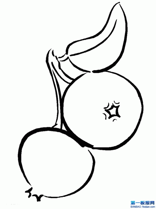 柿子简笔画