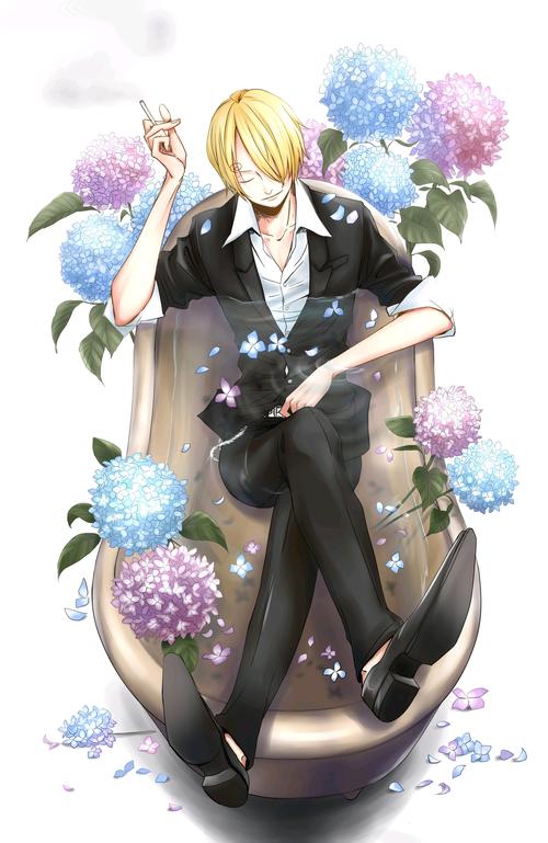 海贼王p站搬运黑足文斯莫克山治同人图