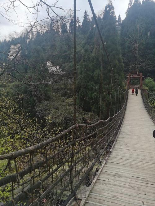 天台山景区旅游攻略 之景点1(1/共40页)