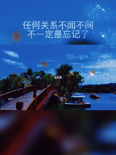 不闻不问不一定是忘记了,但一定是疏远了,_语录_情感语录_素材_文字