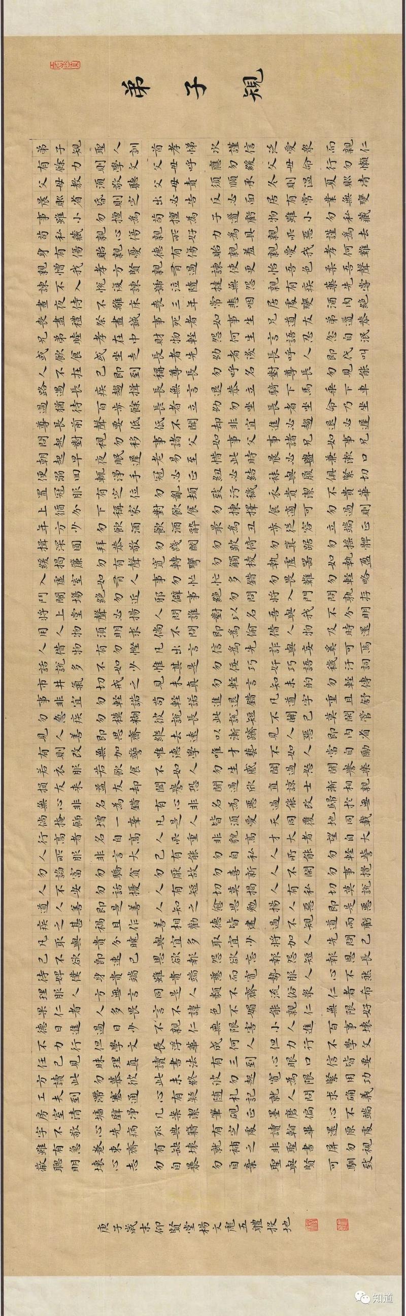 知道书画|杨文彪"趴书"小楷 《弟子规》_腾讯新闻