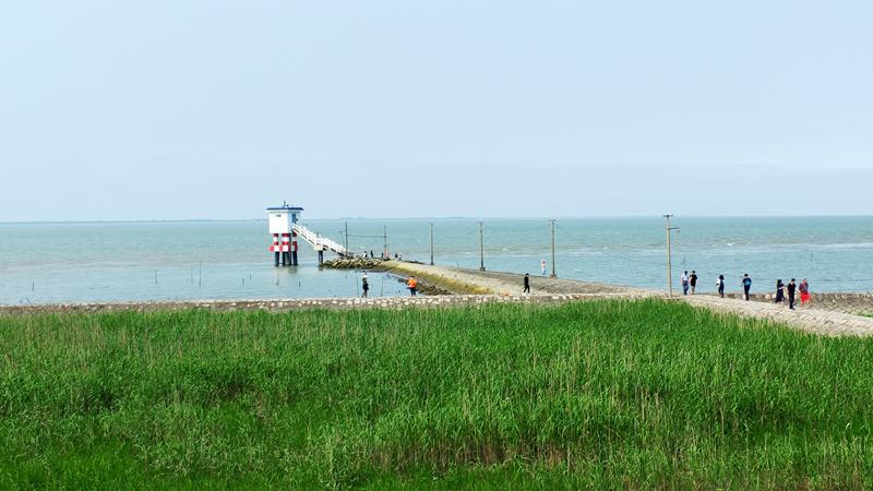 [趣享骑行]探索乡野骑游乐趣,环横沙岛1日骑行