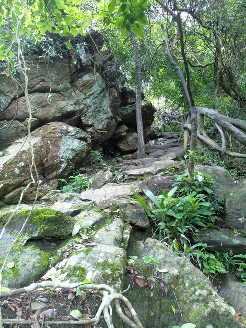 梧桐山老虎涧穿越