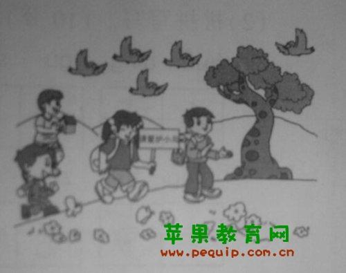 看图写话:保护小鸟