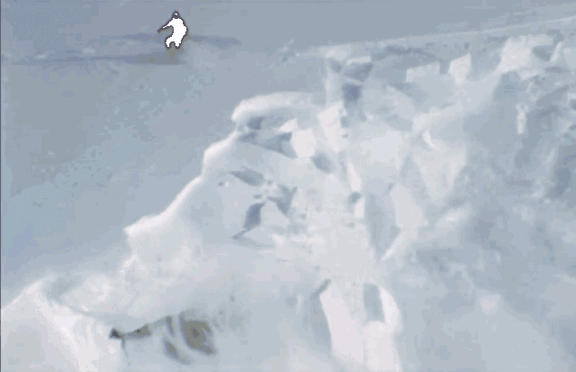 640_413gif 动态图 动图