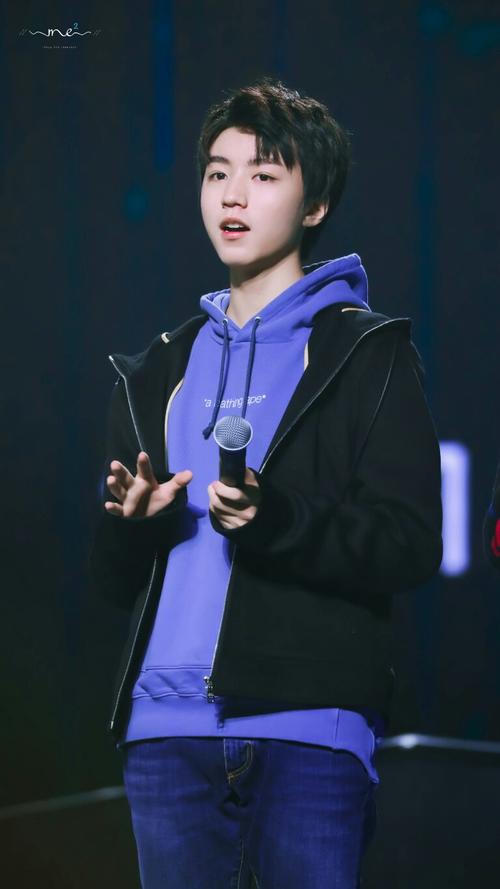 王俊凯tfboys王源17岁生日会高清帅气