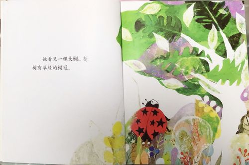 我和故事有个约会——绘本故事分享之十二:《瓢虫的星冠》