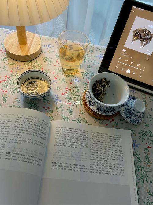 雨天·看书·听歌·喝茶_杂志_喝茶_设计感_白茶_插画