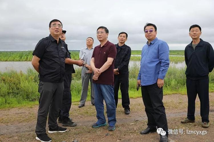 阳光保险河北分公司总经理