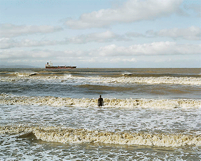 摸蟾蜍会让你长瘤子?有哪些骗过你的小知识