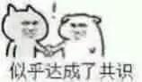 达成共识表情包