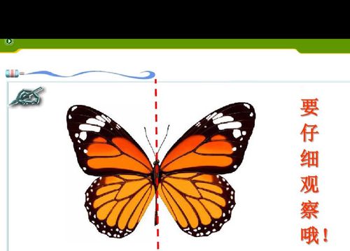 制作轴对称图形