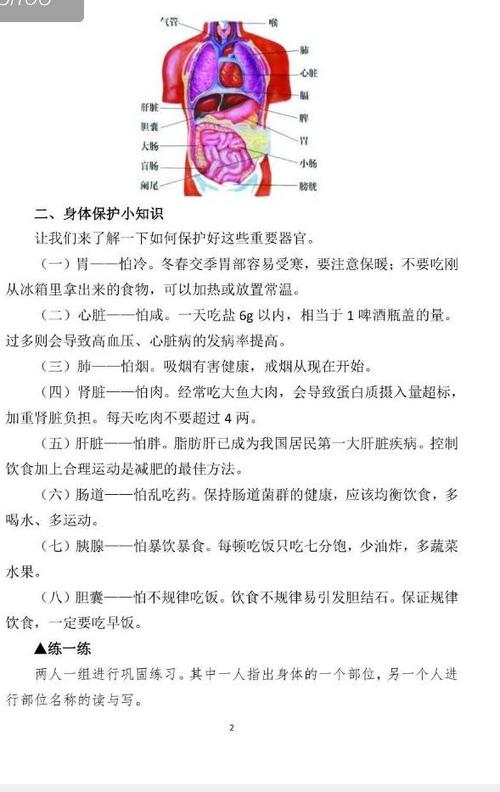 本次活动的主要内容《身体主要器官》,主要包含:胃,肺,心脏,肝脏,肾脏