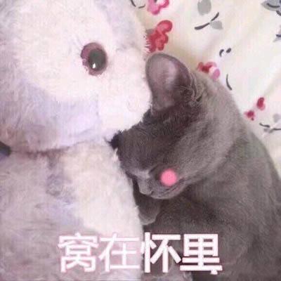 扑怀里表情包