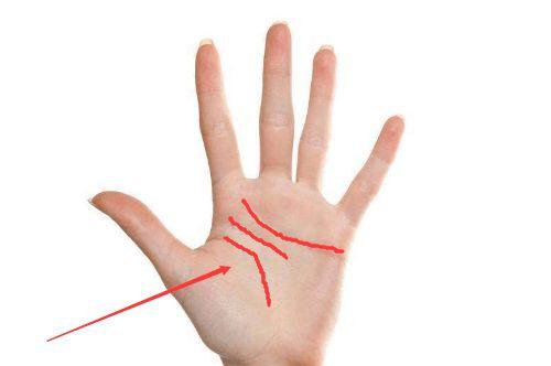 命运线_命运线易容术九_命运线事业线分叉图解