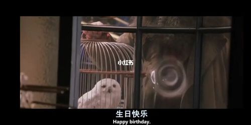 祝哈利波特生日快乐_生日_哈利波特_影视_电影(图文)