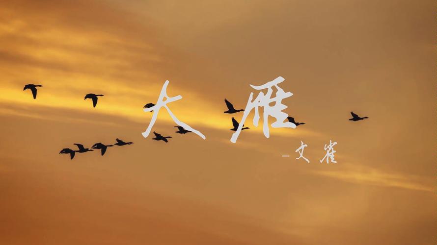 后摇大雁cover文雀乐队