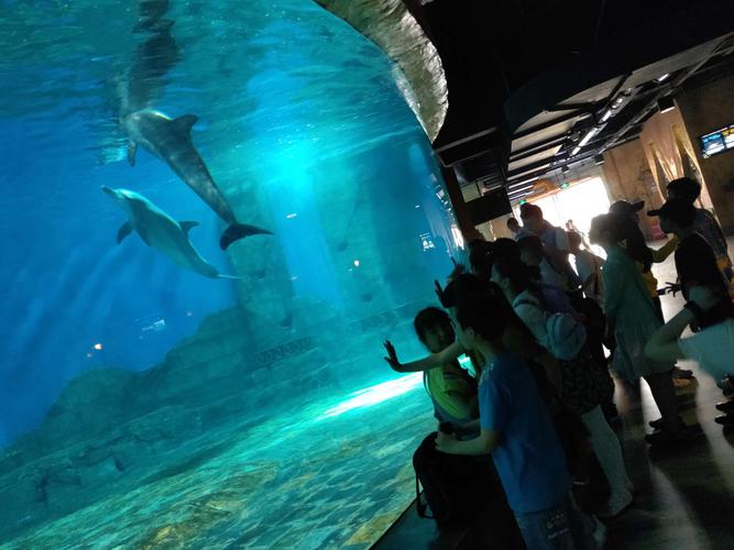 25茨竹中心校汉海海洋探险之旅 写美篇 海底隧道里的大洋池容纳水体