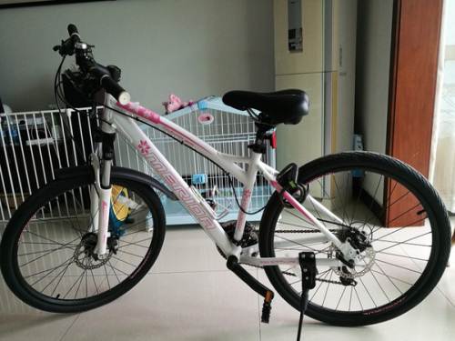 美利达 维多利亚600