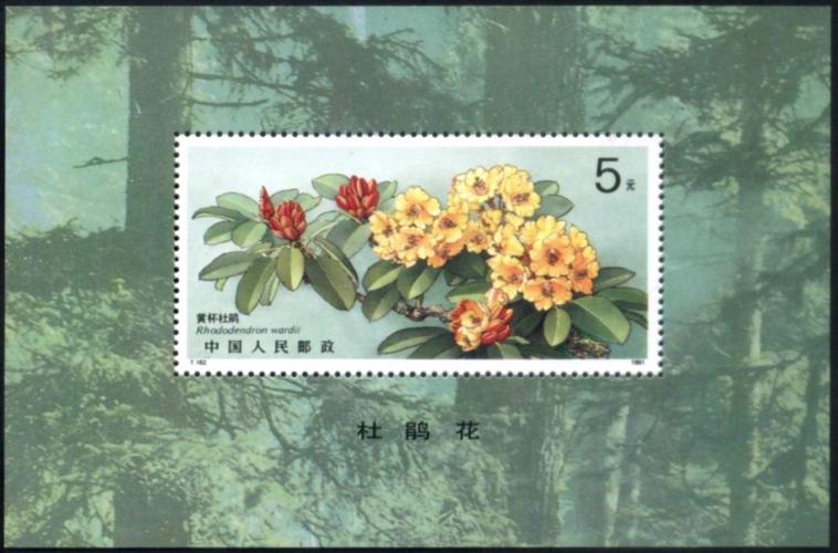 162小型张齿孔大小不均匀吗?