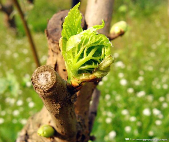 线上活动照片- 【春天地图】用一张照片证明春天来到