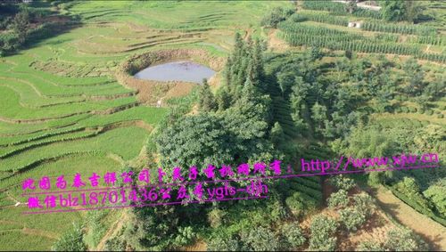 下山凤凰风水宝地