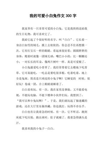 我的可爱小白兔作文300字