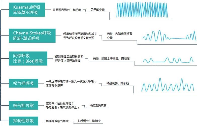 异常呼吸类型