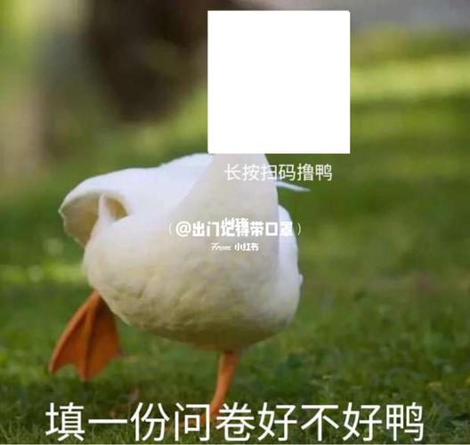 表情包问卷2222_表情包_懒癌_口罩_问卷调查_素材