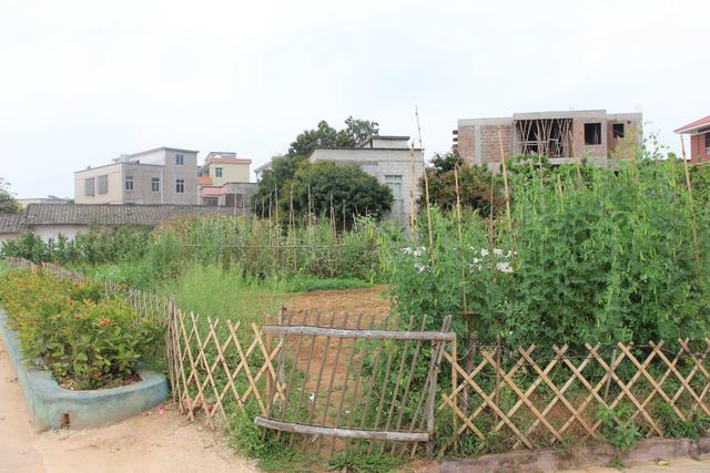 化州宝圩:巷口村人居环境整治助力美丽新农村建设