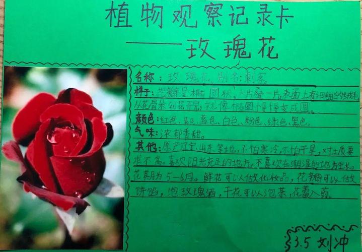 【停课不停学】记录生活小美好_植物