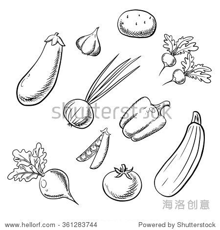 with spicy leaves sweet bell pepper pea pod zucchini eggplant
