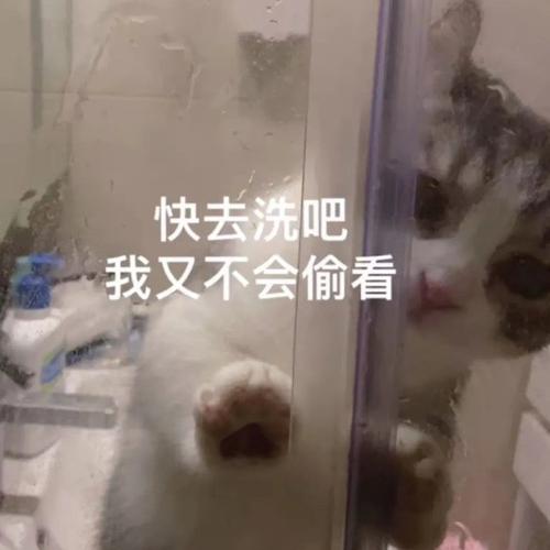 萌宠表情包:你去洗澡吧,我不会偷看的!